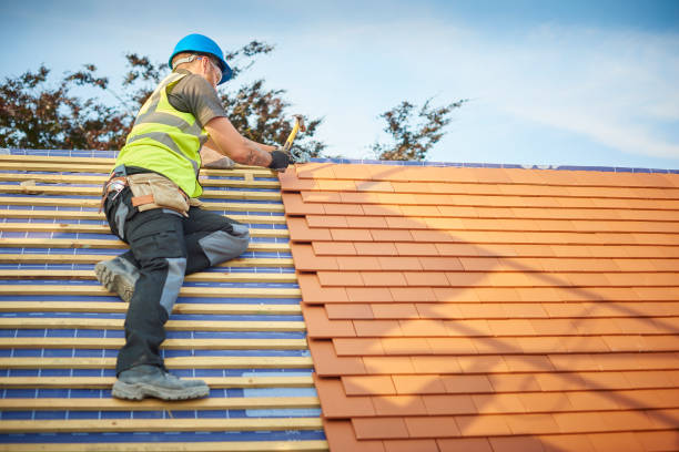 Best Solar Panel Roofing Installation  in Franklin Farm, VA